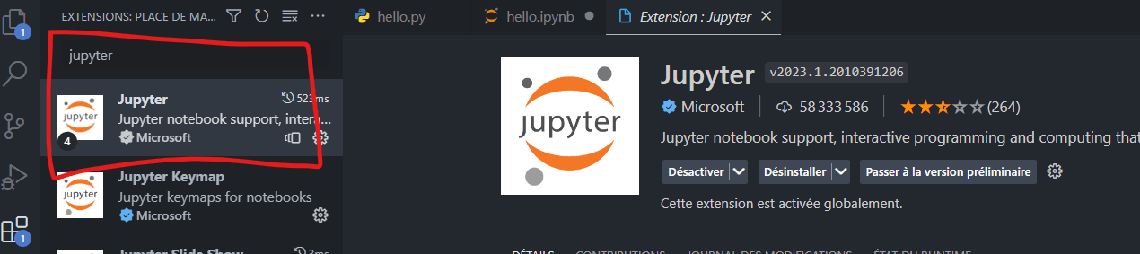 Jupyter-Extension.png