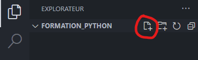 VsCode-Nouveau-Fichier.png